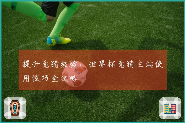 提升竞猜经验，世界杯竞猜主站使用技巧全攻略