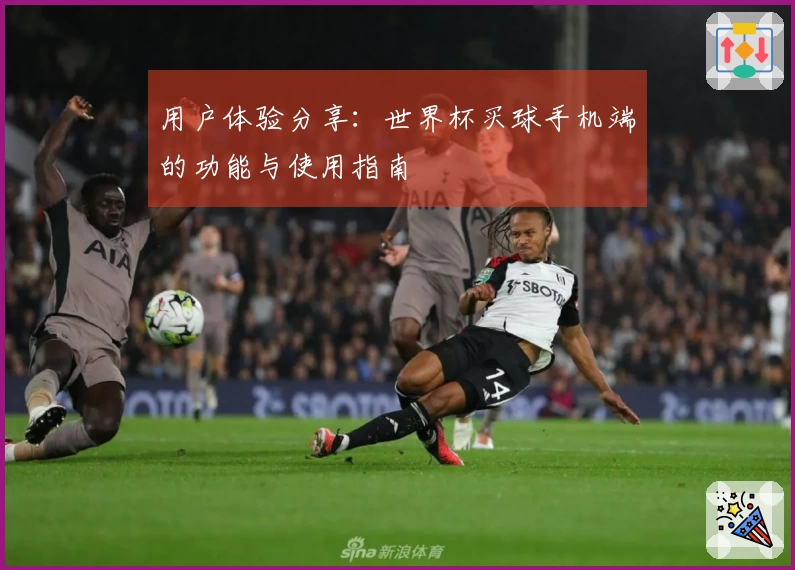 用户体验分享：世界杯买球手机端的功能与使用指南