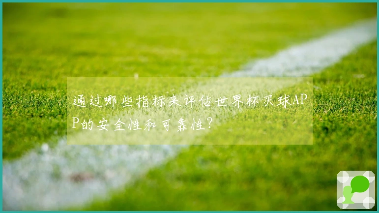 通过哪些指标来评估世界杯买球APP的安全性和可靠性？