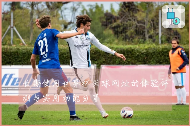长期使用世界杯买球网址的体验评测与实用功能分享