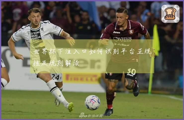 世界杯下注入口如何识别平台正规性及规则解读
