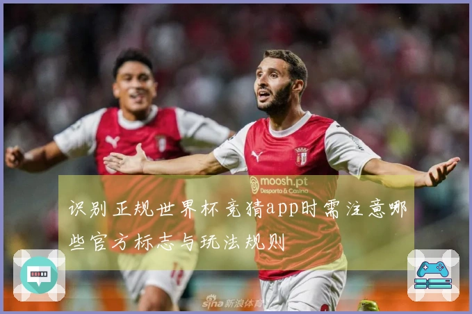 识别正规世界杯竞猜app时需注意哪些官方标志与玩法规则