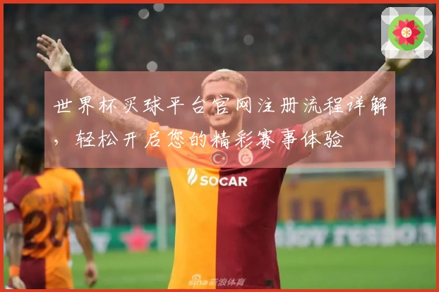 世界杯买球平台官网注册流程详解,轻松开启您的精彩赛事体验