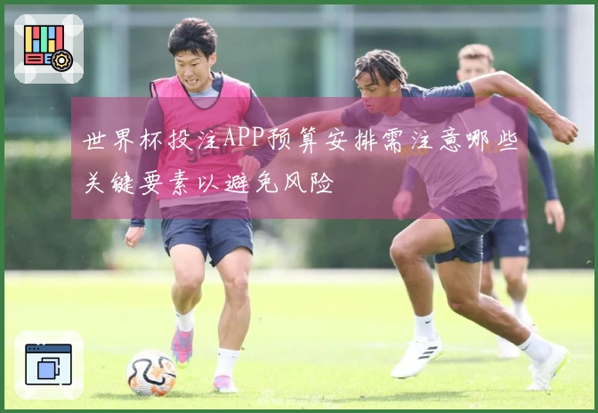世界杯投注APP预算安排需注意哪些关键要素以避免风险