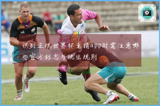 识别正规世界杯竞猜app时需注意哪些官方标志与玩法规则