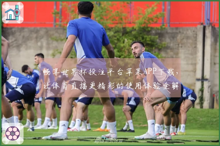 畅享世界杯投注平台苹果APP下载，让体育直播更精彩的使用体验全解析