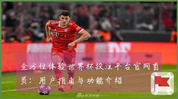 全方位体验世界杯投注平台官网首页：用户指南与功能介绍