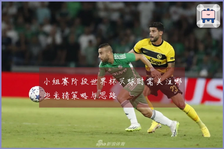 小组赛阶段世界杯买球时需关注哪些竞猜策略与思路