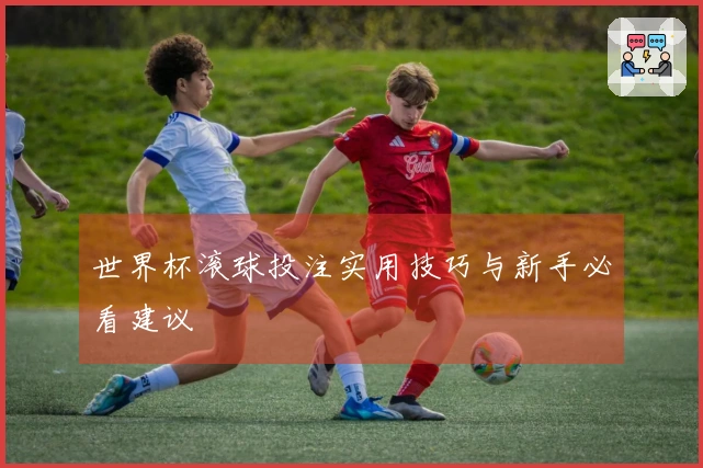 世界杯滚球投注实用技巧与新手必看建议