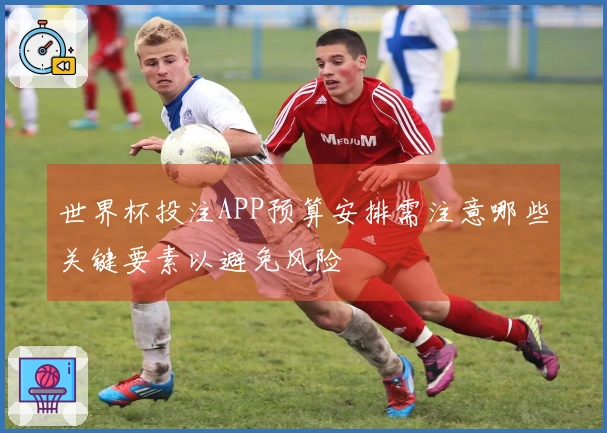 世界杯投注APP预算安排需注意哪些关键要素以避免风险